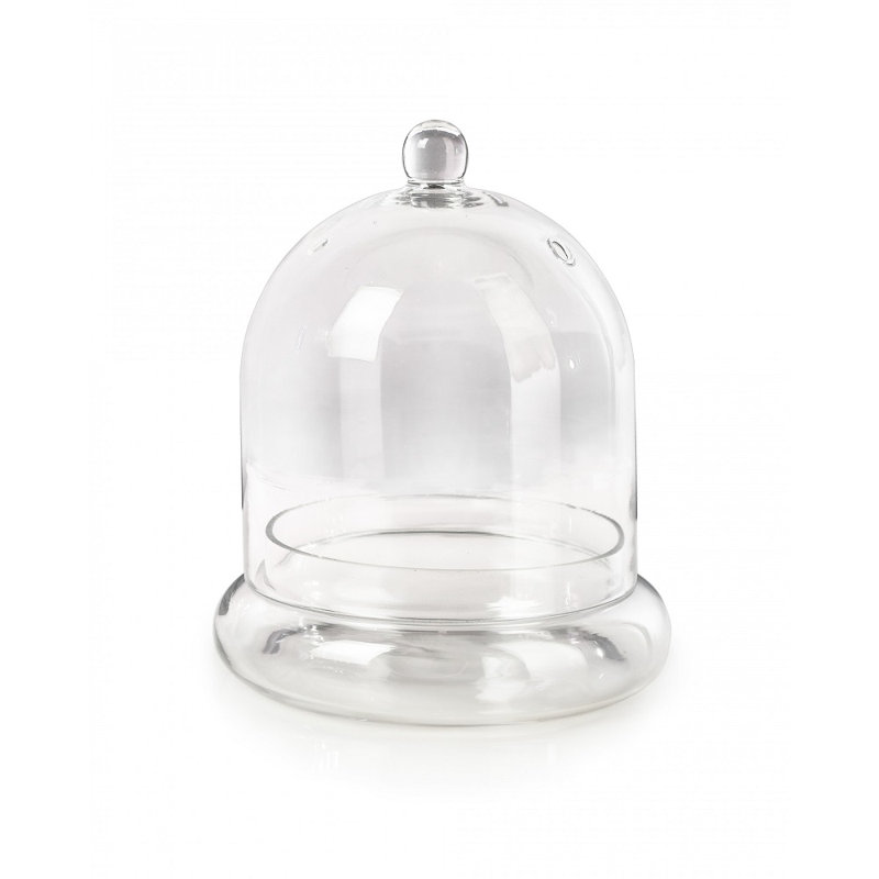 Terrarium en verre Hantsport, H 6 po x l 5 po x P 5 po, 1