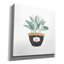 Art mural sur toile Winston Porter «Fine Herbs 7» par Janelle Penner-361581594
