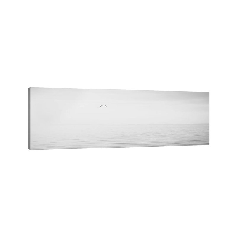 Black & White Water Panel XVI by James McLoughlin - Wrapped Canvas Panoramic Print, 30.48 cm H x 91.44 cm W