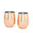 17oz. Stainless Steel Wine Glass Set