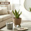 Pot Planter-1997531617-1997531550