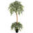 72'' Artificial Ficus Tree in Pot