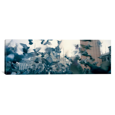 " Low Angle View Of A Flock Of Pigeons, St. Mark's Square, Venice, Italy " by Panoramic Images