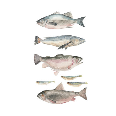 Composition du poisson I