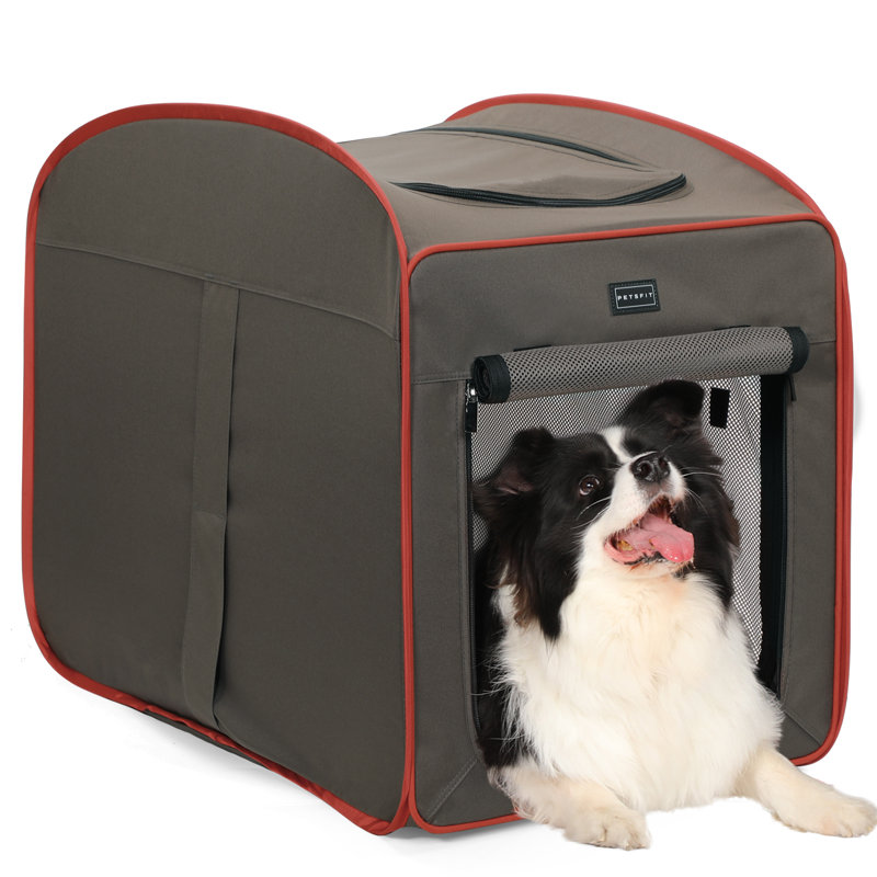 Caisse pour chien Tucker Murphy Pet ™, Gris foncé