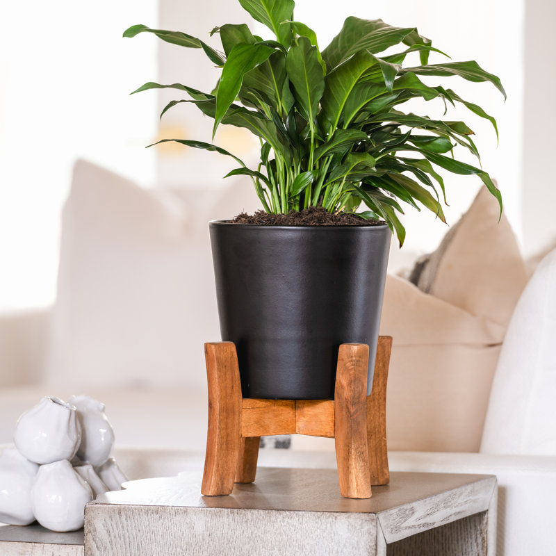 8" Contemporary Planter With Stand, 2-pack