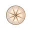 Hoja 8 - Light Flush Mount
