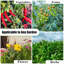 Anil Raised Planter Box: Stop Soil Compaction & Easy Setup-242607169