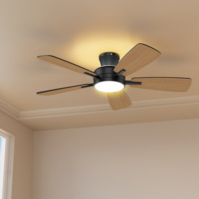 Aare 46'' Flush Mount Ceiling Fan With Light