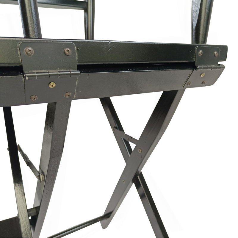 Casual Home Director'S Chair, Black Frame/Black Canvas,Suitable For Adults, Foldable Style, 2Pcs/Set  Populus