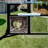 Catio