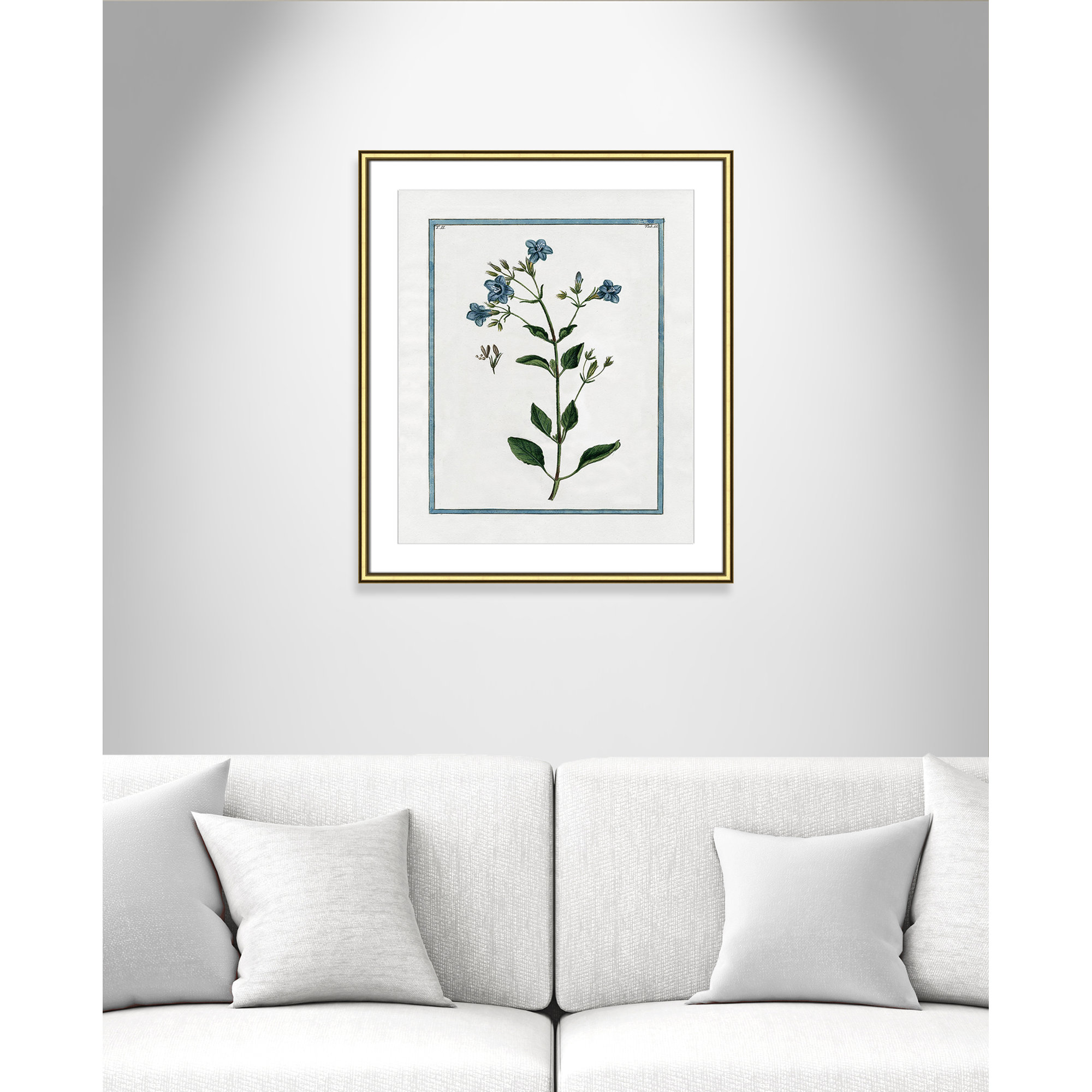 Shabby Elegance Botanical II - Framed Art, 22.75" W x 26.75" H, Gold Framed