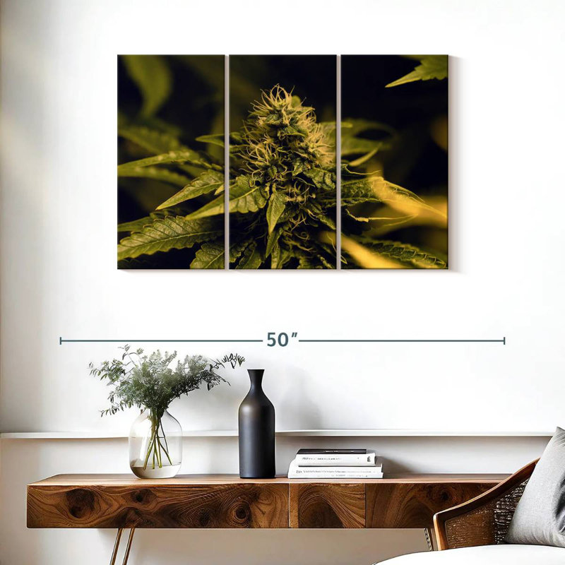 Blooming Cannabis Plant, 36" H x 57" W