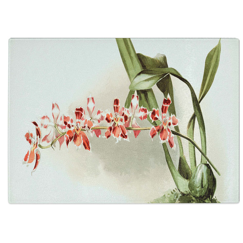 Glass Magnolia Flowers Illustration Tab. 37 by Frederick Sander Chopping Board, 28.5 cm W x 20 cm L