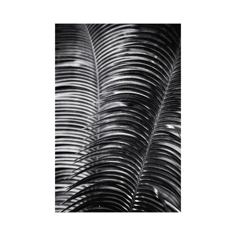 Tropical III by Aledanda - Wrapped Canvas Gallery-Wrapped Canvas Giclée, 20.32 cm H x 30.48 cm W