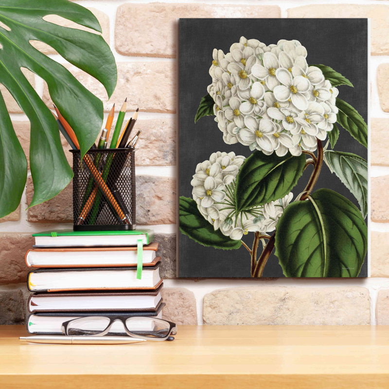 «Hydrangea» par - impression sur toile tendue, H 16 po x l 12 po x P 0,75 po