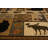 Sayre Animal Print Indoor Rug-23261266