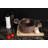 East Urban Home Standard Pot