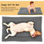 Lit pour animaux Eveleen-1535897616