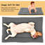 Lit pour animaux Eveleen-1535897619