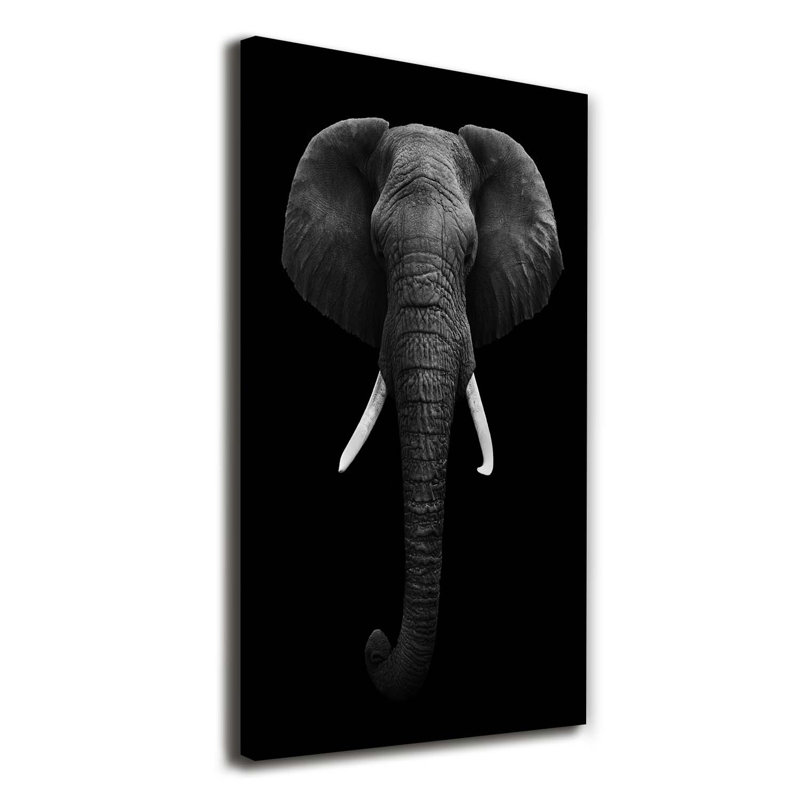 African Elephant - Wrapped Canvas Print