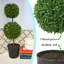 Haut topiaire artificiel en forme de boule-1119386439-1096592314