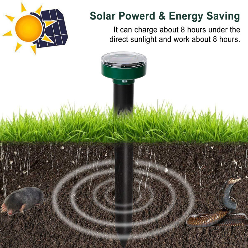 10.04'' Solar Powered Outdoor Lantern