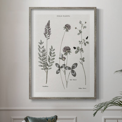 Multi Botanical II Framed Print - Solid Wood 48180