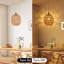 Luminaire suspendu en rotin 15 pieds enfichable