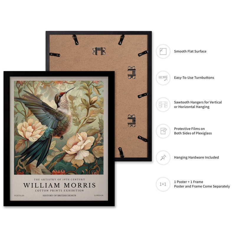 William Morris - Colibri n ° 1, Black Framed, Poster, 16"H x 20"W