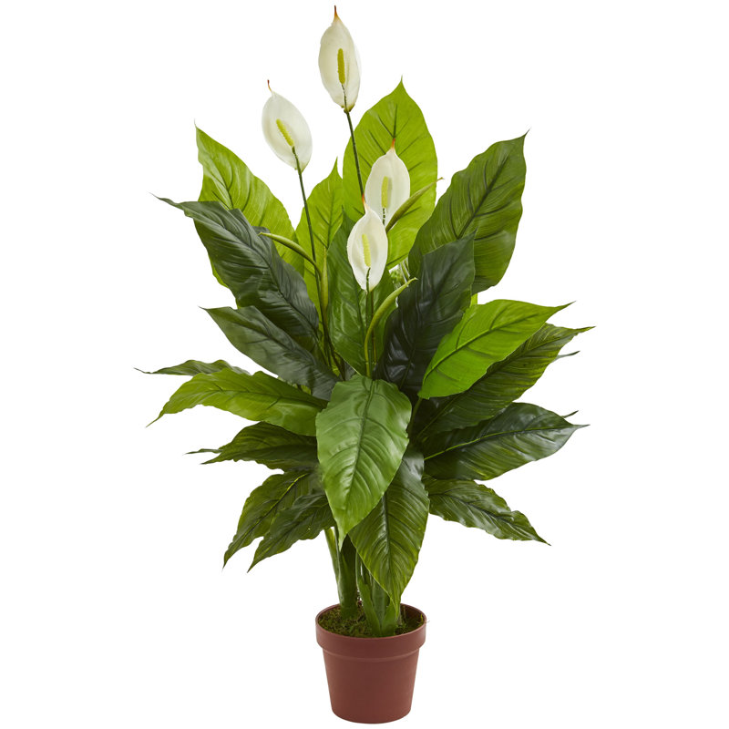 Plante spathiphyllum artificielle en pot de fleurs, 42", Rouge