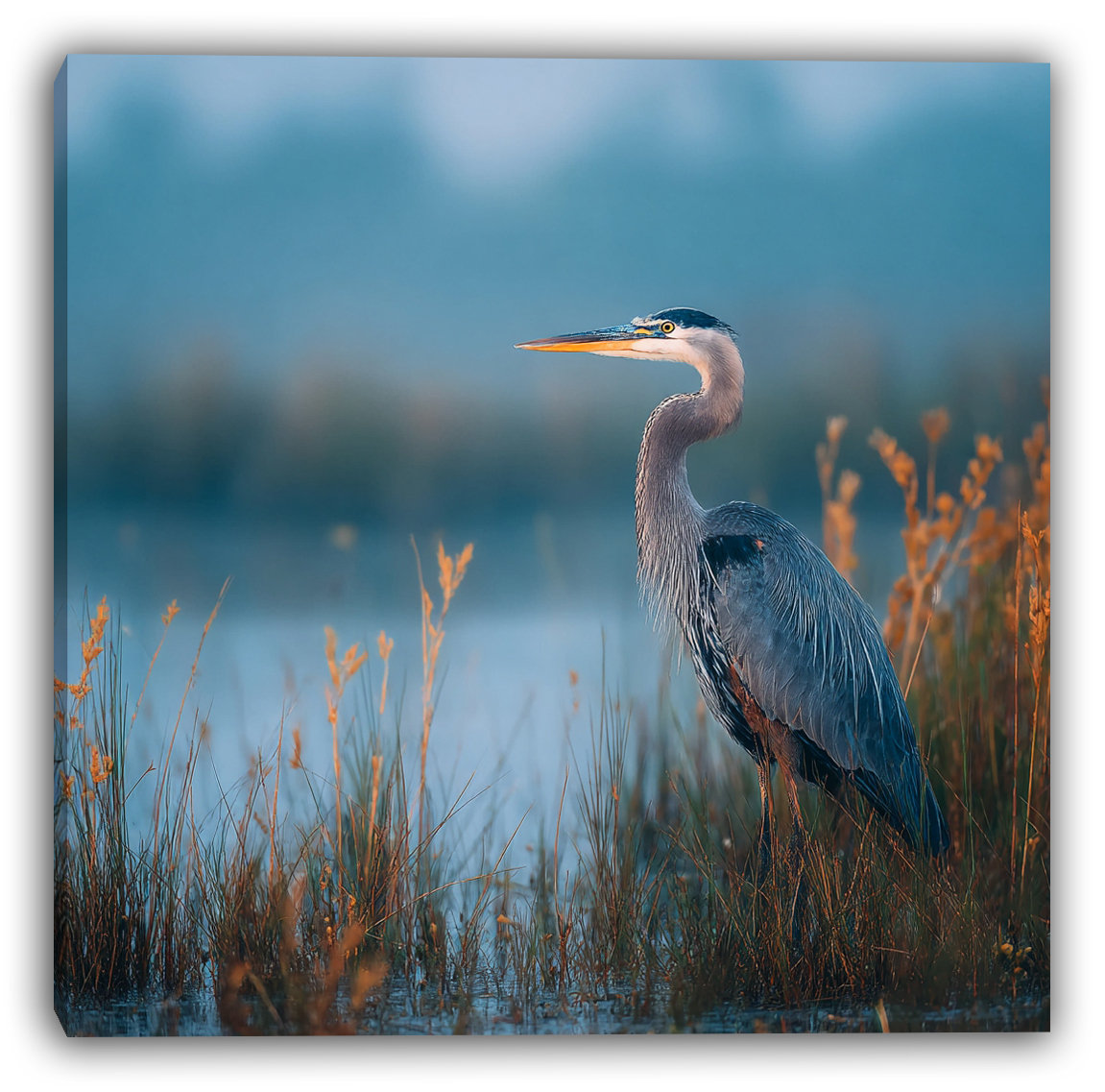 Highland Dunes Misty Shore Heron - Wrapped Canvas Wall Art | Wayfair