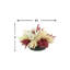 Assorted Pampas In A Fiberstone Pot