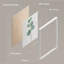 «Green Plants Botanical Minimalist Modern», impression encadrée, affiches, salle de bain, petit art mural-104788694-104788697