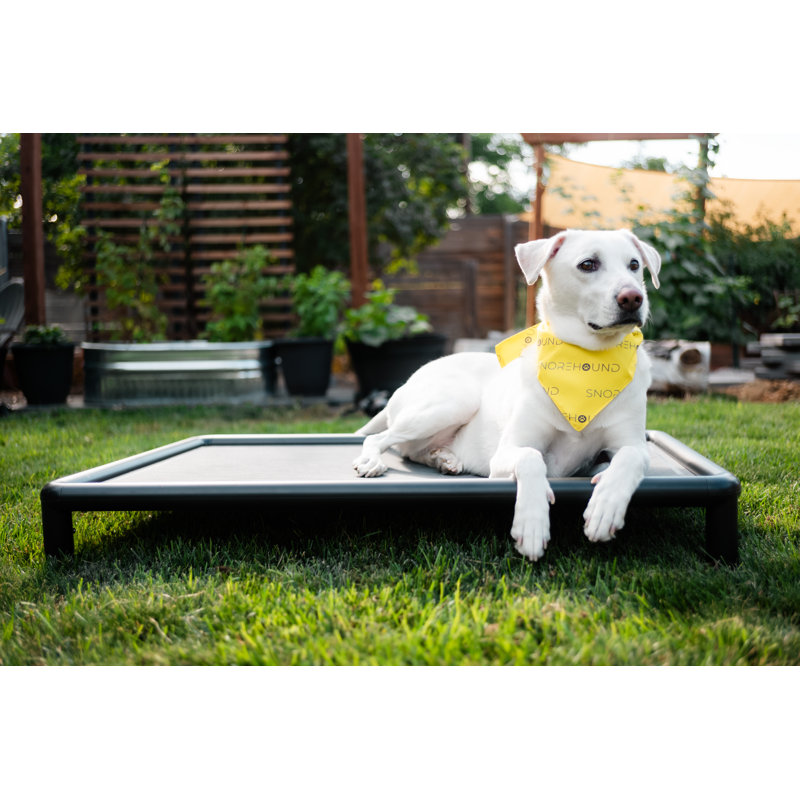 Lit pour chien Cooling, Noir/gris, H 6,75 po x l 26,5 po x P 40,5 po