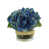 Blue/Green