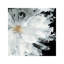 Black Peony by Asia Jensen - Painting on Canvas-1628599798-1628599797