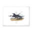 Oiseau rétro de l'Europe II - peinture sur toile-59814165-59814166