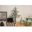 Spruce Tree 51" H x 41" W Kids Bookcase-1576915947