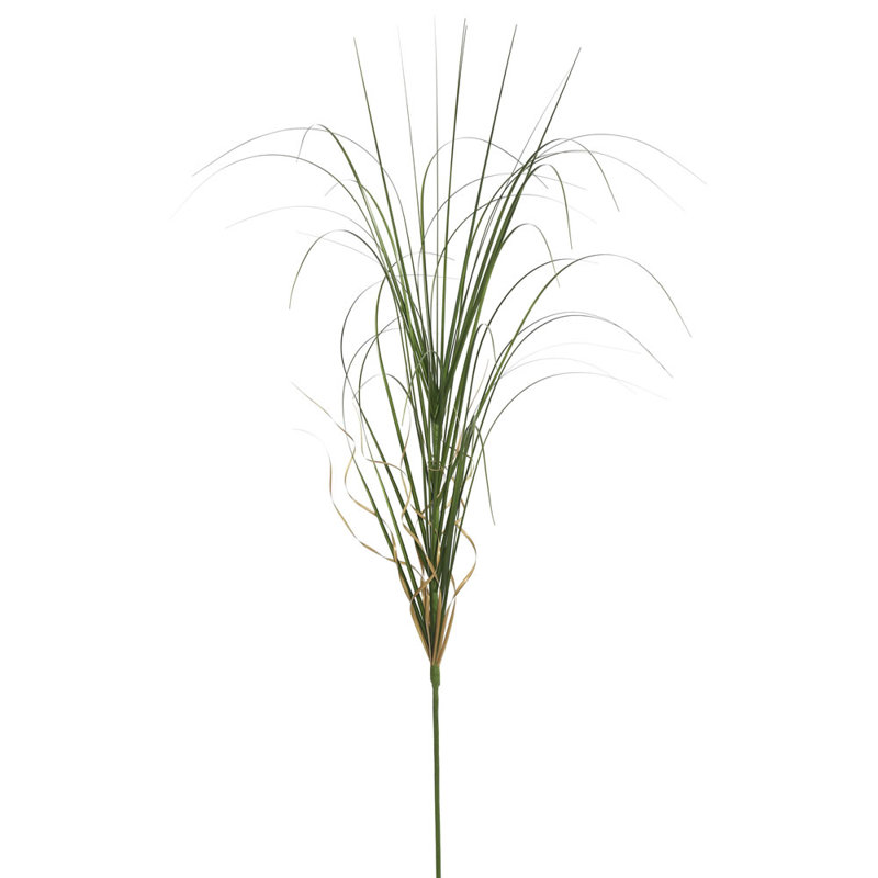 Herbe agave enroulée 6 pièces Wegman