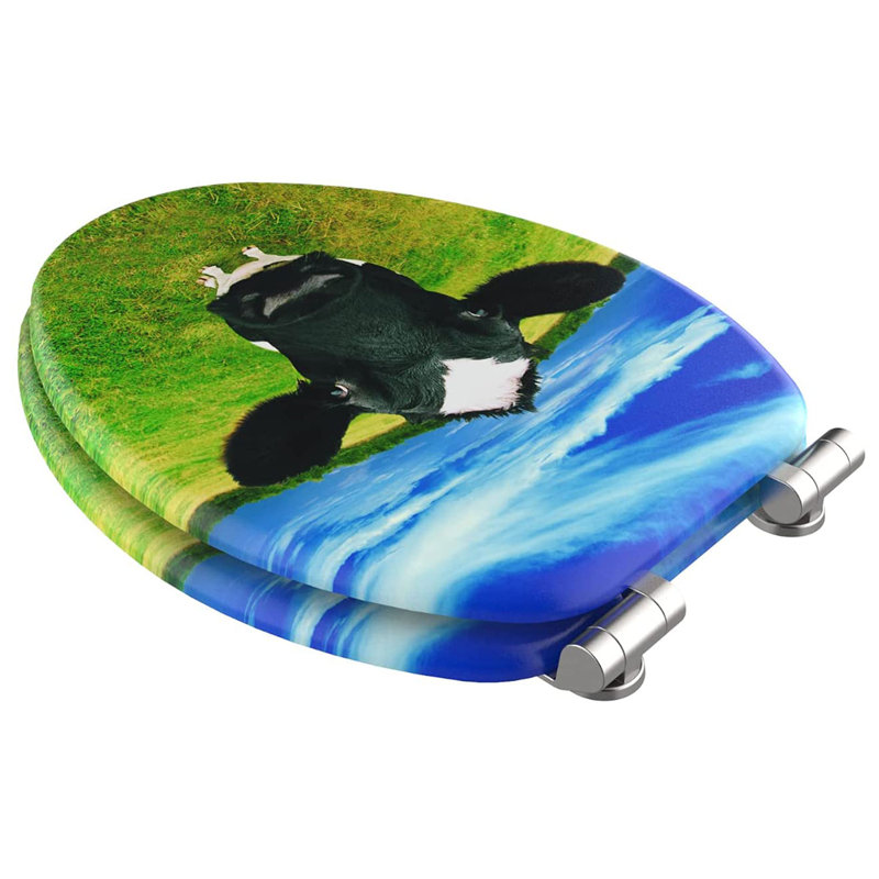 Elongated Toilet Seat and Lid