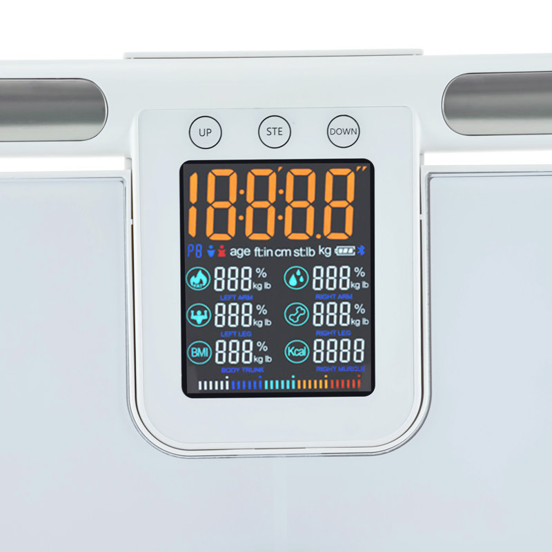 SUNYOU General Scale