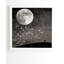 « love under the stars », impression-22036965-22036873