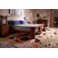 Oyster Hand Knotted Wool/Silk Abstract Area Rug in Brown/Beige/Gold/Orange by Chihuly-1822873656