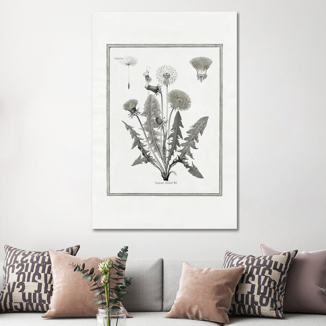 Dandelion I by Kelly Donovan - Gallery-Wrapped Canvas Giclée on Canvas