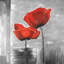 Deux fleurs rouges sur toile en niveaux de gris | Décoration de salon grise