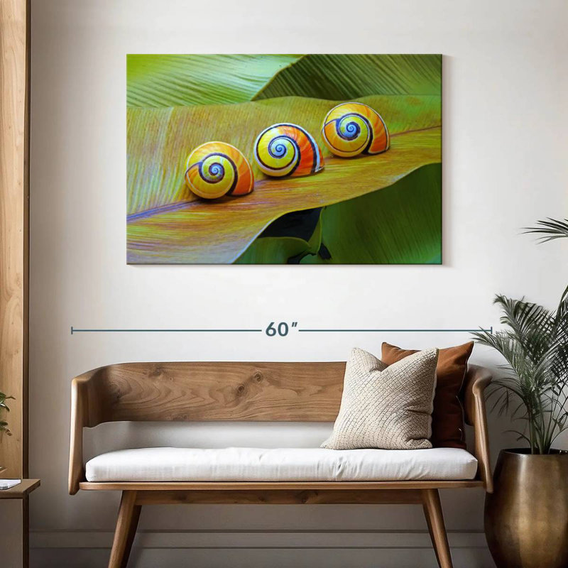 Brampt Cuban Snails, 30" H x 45" W