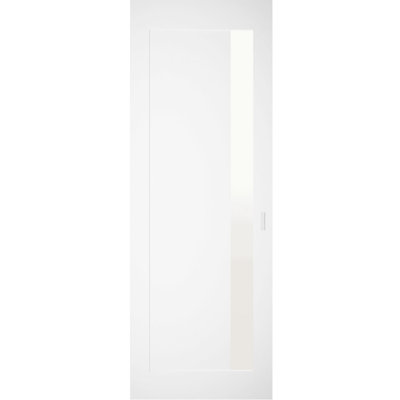 Grange cachée Planum 0660 peinte avec verre givré, portes coulissantes robustes, ensemble de portes coulissantes encastrées magiques