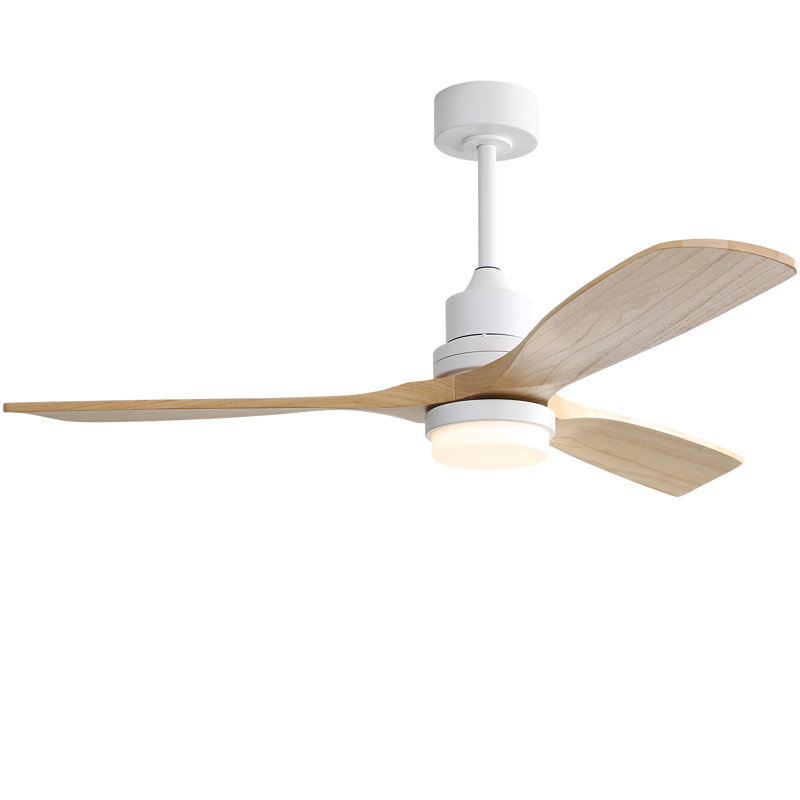 Ceiling Fan with LED Lights
