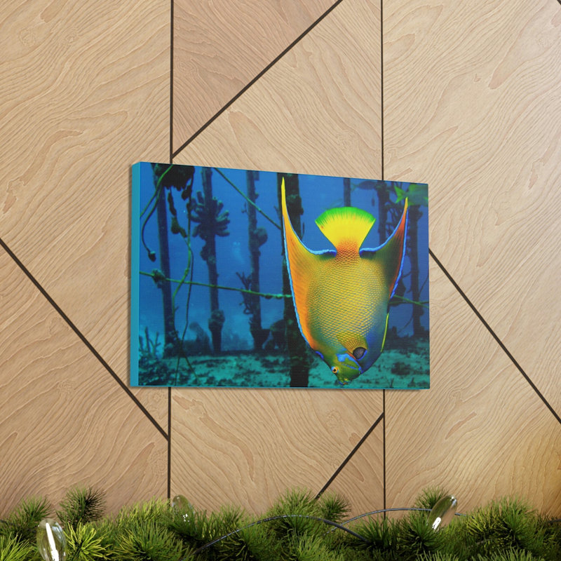 Drôle d'ange poisson, H 12 po x l 16 po
